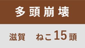 【暫定公開・一部確認中】15_滋賀県豊郷町多頭飼育救済支援レポート(行政枠)
