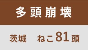 【暫定公開・一部確認中】30_茨城県阿見町多頭飼育救済支援レポート(行政枠)