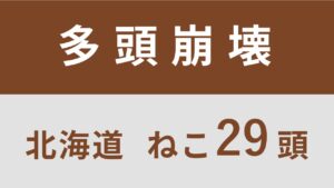 36_北海道比布町多頭飼育救済支援レポート(行政枠)