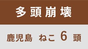 57_鹿児島県霧島市多頭飼育救済支援レポート（行政枠）　