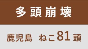 60_鹿児島県中種子町多頭飼育救済支援レポート(行政枠)