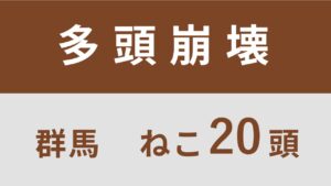 72_群馬県渋川市多頭飼育救済支援レポート(行政枠)