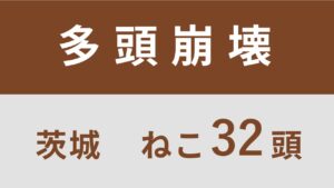 74_茨城県つくば市多頭飼育救済支援レポート(行政枠)