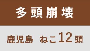 75_鹿児島県鹿屋市多頭飼育救済支援レポート（行政枠）　　