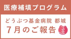 どうぶつ基金病院 都城 7月ご報告！