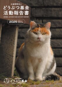 2025年度