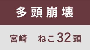 4_宮崎県高鍋町多頭飼育救済支援レポート(行政枠)