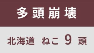 5_北海道札幌市多頭飼育救済支援レポート(行政枠）　