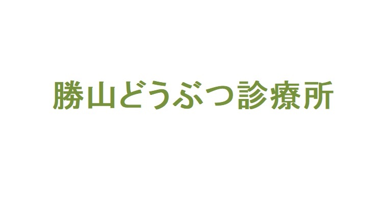 タイトルなし