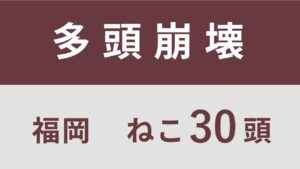 12_福岡県小郡市多頭飼育救済支援レポート（行政枠）