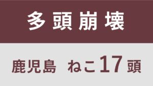 13_鹿児島県薩摩川内市多頭飼育救済支援レポート(行政枠)