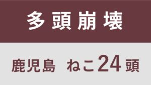 15_鹿児島県霧島市多頭飼育救済支援レポート(行政枠)※同案件2回目