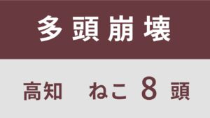 3_高知県高知市多頭飼育救済支援レポート(行政枠)