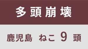 8_鹿児島県鹿屋市多頭飼育救済支援レポート（行政枠）