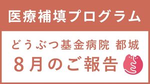 どうぶつ基金病院 都城 8月ご報告！
