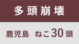 18_鹿児島県薩摩川内市多頭飼育救済支援レポート(行政枠)