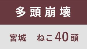 2_宮城県気仙沼市多頭飼育救済支援レポート(行政枠)
