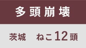20_茨城県阿見町多頭飼育救済支援レポート(行政枠)
