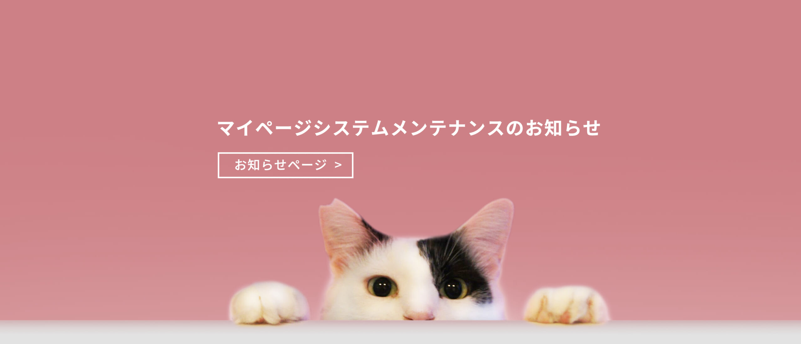 マイページ システムメンテナンスのお知らせ